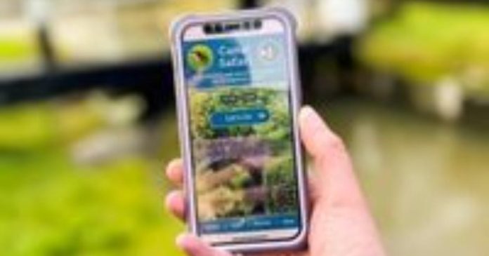 opengraph.jpg Go on a canal safari!